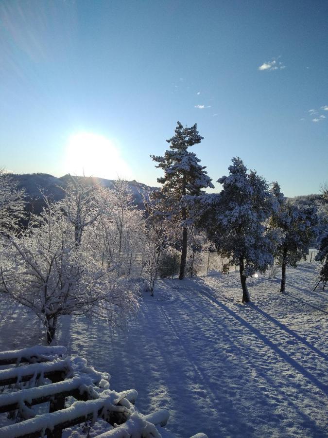 B&B Il Sogno Dovadola Luaran gambar